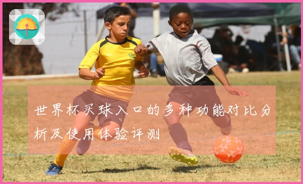 世界杯买球入口的多种功能对比分析及使用体验评测