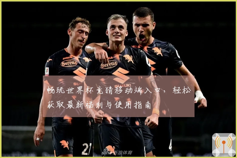 畅玩世界杯竞猜移动端入口,轻松获取最新福利与使用指南