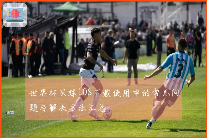 世界杯买球iOS下载使用中的常见问题与解决方法汇总