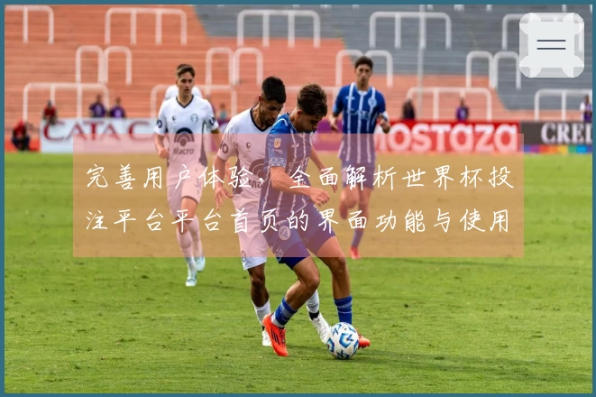 完善用户体验，全面解析世界杯投注平台平台首页的界面功能与使用指引