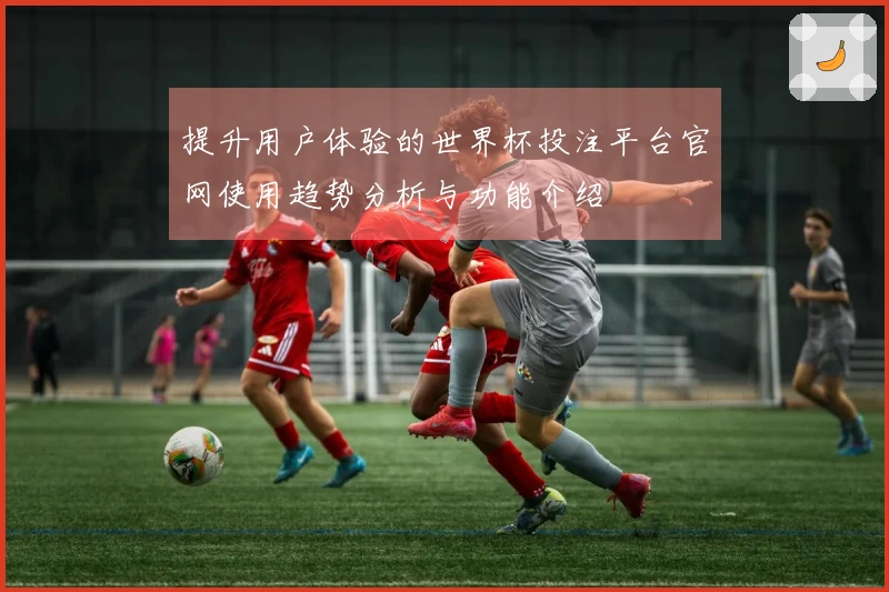 提升用户体验的世界杯投注平台官网使用趋势分析与功能介绍
