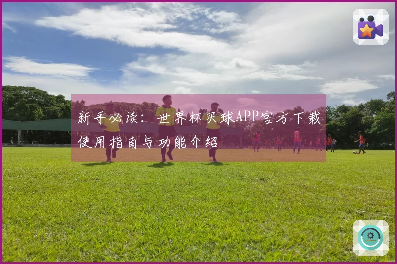 新手必读：世界杯买球APP官方下载使用指南与功能介绍